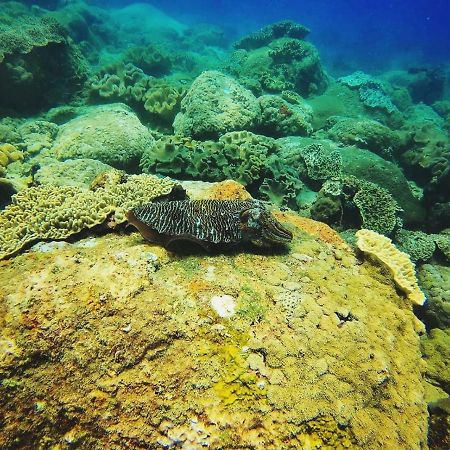 Luna Beach Hotel ニラヴェリ エクステリア 写真